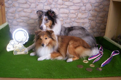 Pili a Xsara